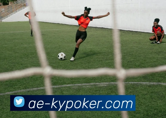 开云棋牌官网平台生态图