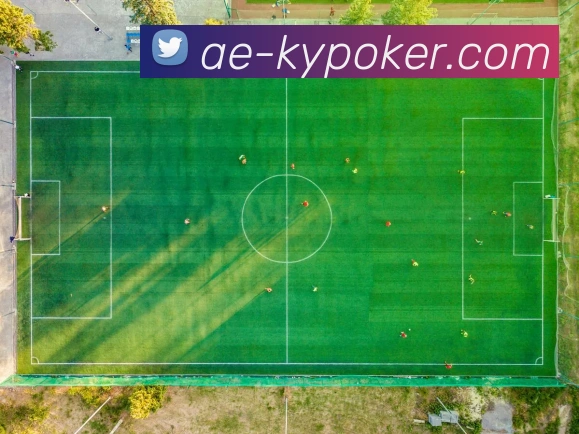 开云棋牌官网全站App